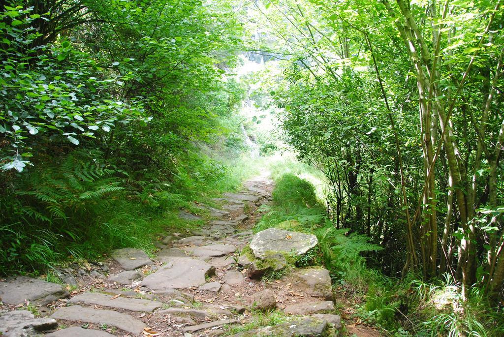 Гостевой дом El Molino De Сисера Номер фото