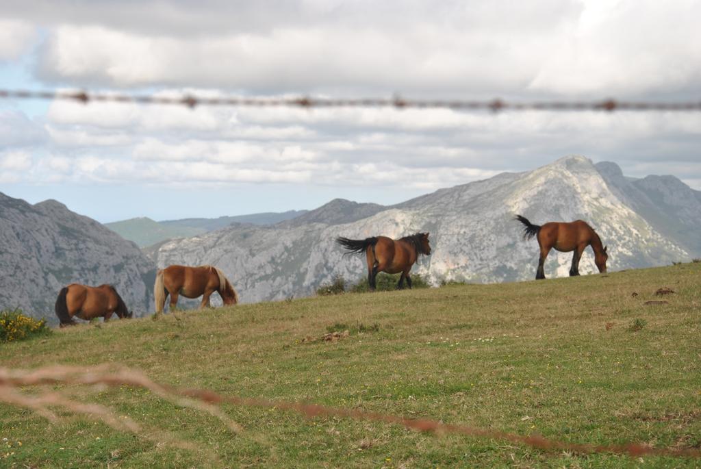 Гостевой дом El Molino De Сисера Номер фото